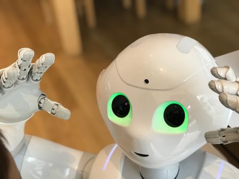 De Rol van Robots in de Moderne Samenleving: Kansen en Toepassingen